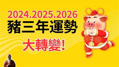 數豬|2024年屬豬人全年整體運勢詳解